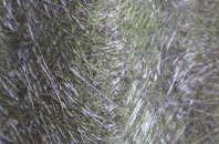 Gilnahirk fibreglass roof work